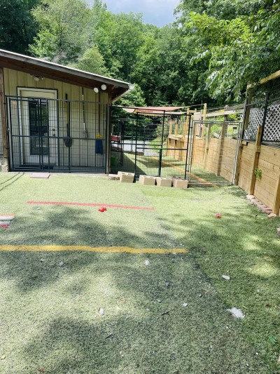 Side yard (that now has an additional yard increasing the length another 15 feet) Outdoor area