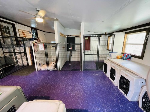 Additional Kennel Rooms (left) and our 5 x 9 room is far left Additional kennel room