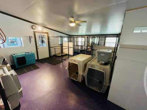 Front Kennel Rooms & Crates Kennel Room