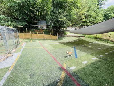 Shade clothes on all the yards for summer time & astro turf Outdoor dog training area