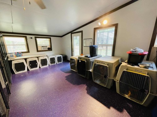 We offer 700 Series XL crates and XL/L/Int Ruffland Crates depending on size of dog crated. XL/L crates
