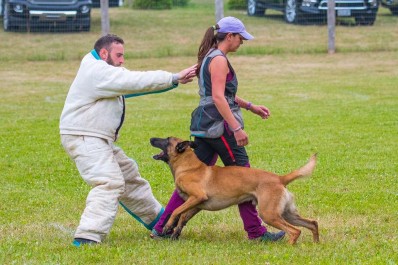 Tyler & Torro competing in Canada at a North American Ring Association (NARA French Ring) trial where they completed their French Ring 2 title Tyler competing in the NARA French Ring