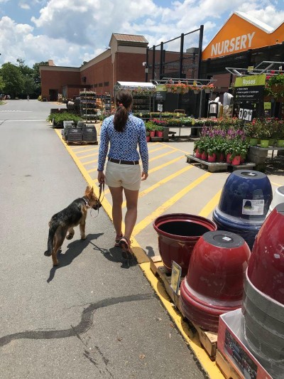 Dog walking at Home Depot