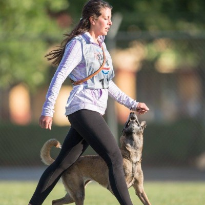 Tyler & Freya at the 2018 AWDF (American Working Dog Federation) National Championships in CA. (You might recognize Freya from the Logo) Tyler at the AWDF